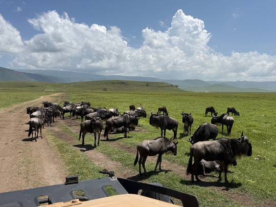 Tanzania Specialist-阿鲁沙必去景点