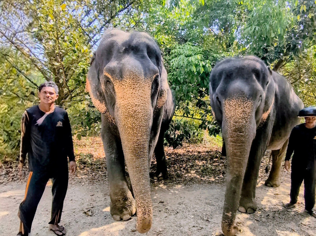 Nice Trip Khaolak-拉克山必去景点