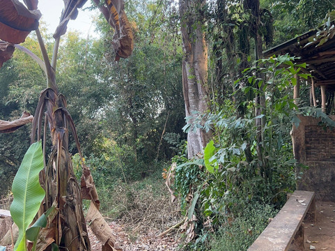 Longneck Karen Village-清莱必去景点