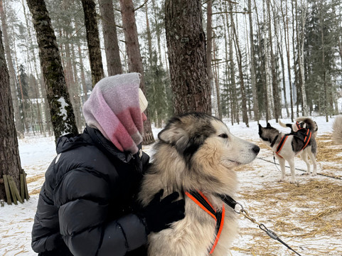 Red Fox Tours-里加必去景点