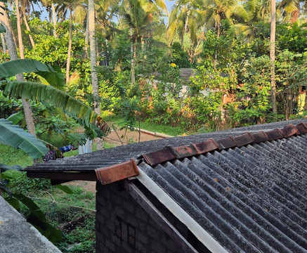 Green Shadows Beach Hotel主图