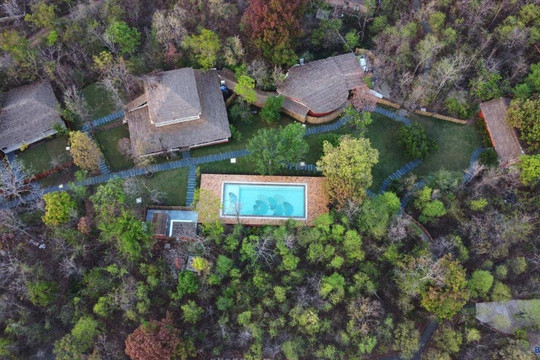 Saj In The Forest, Pench