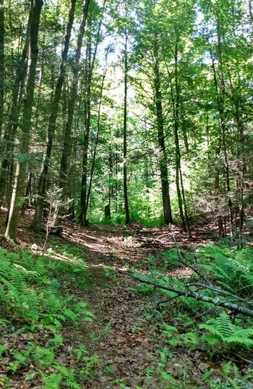 Southbridge  Heritage  Trail