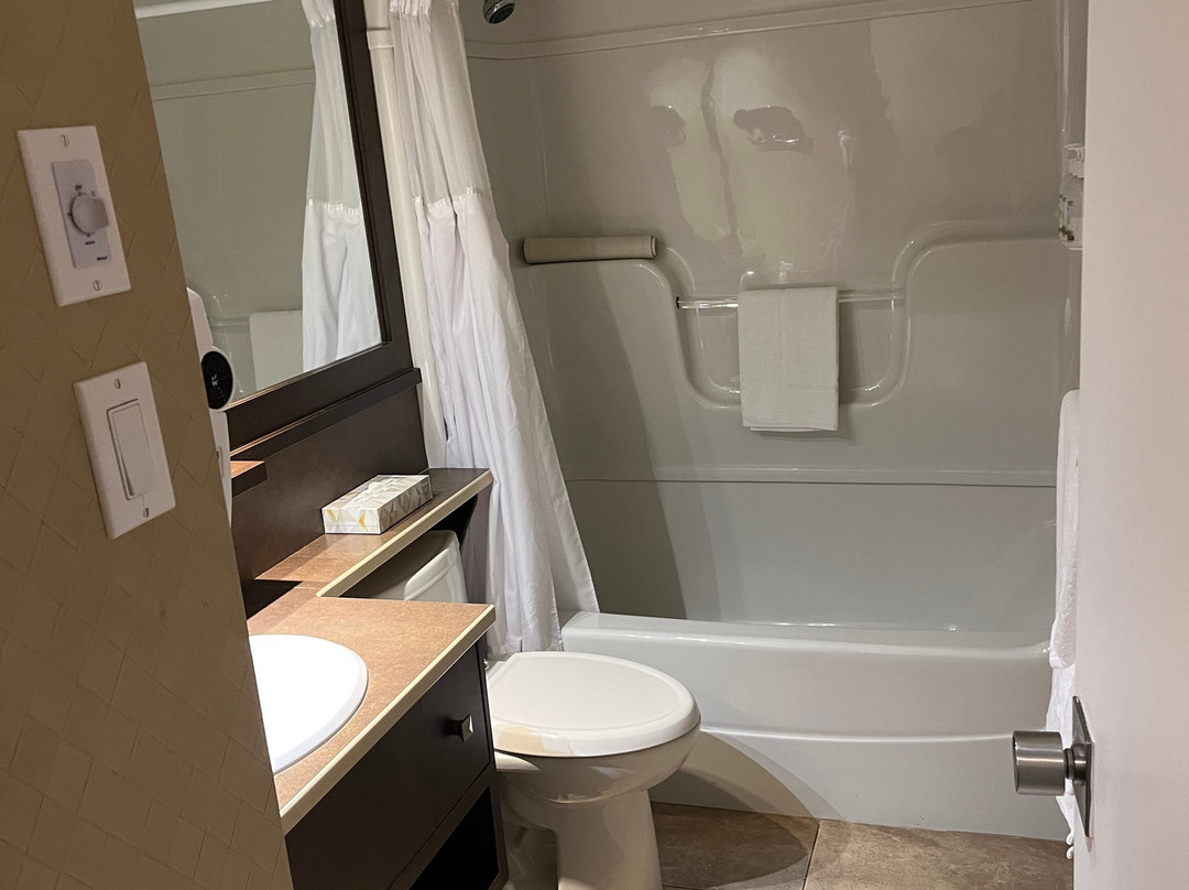 罗斯里尔蒙特玛尼酒店主图