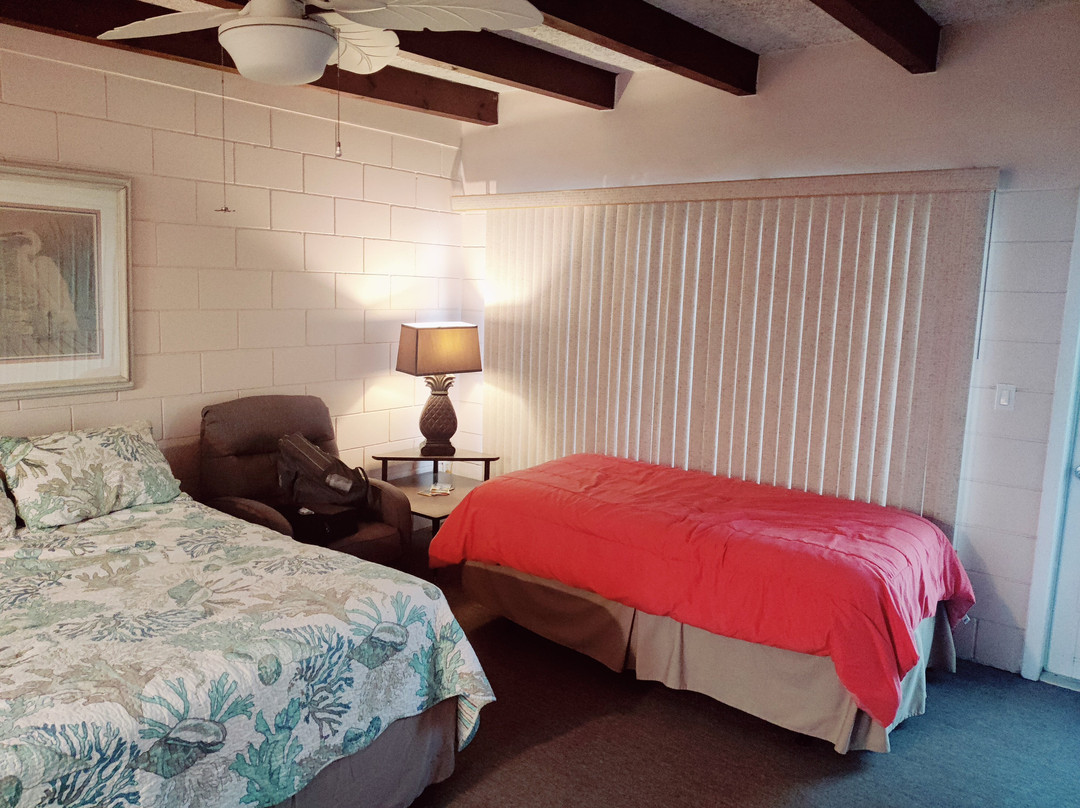 Driftwood Motel主图