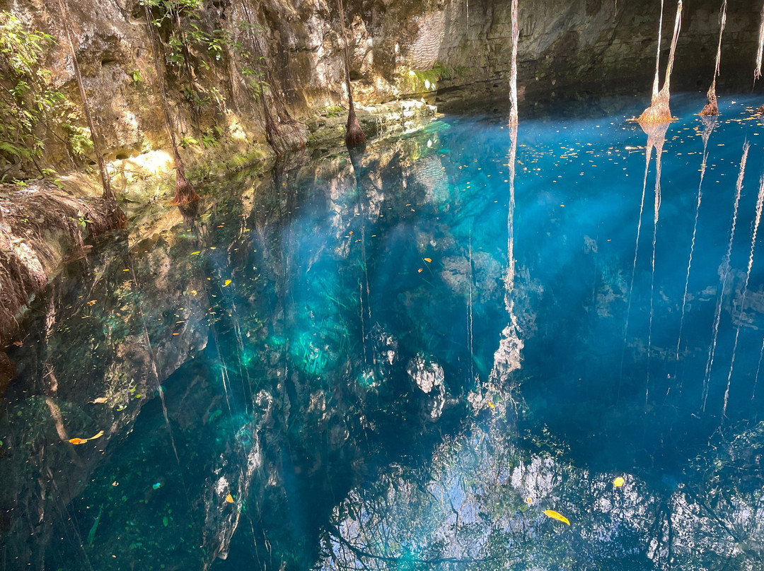 Experiencia Privada en Cenote Exclusivo-巴利亚多利德必去景点