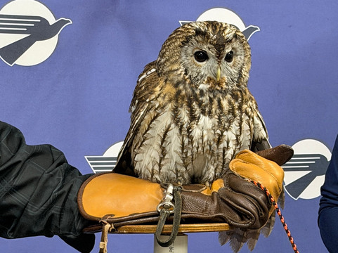 World Bird Sanctuary-Valley Park必去景点