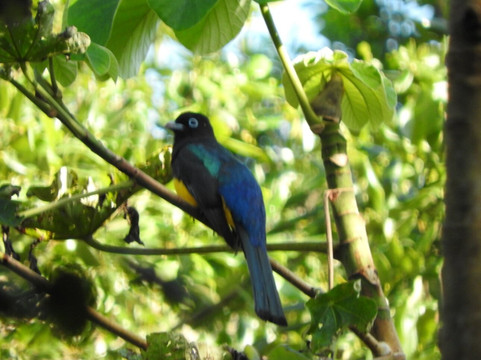 Eddy Ay Peña-Chunyaxche必去景点