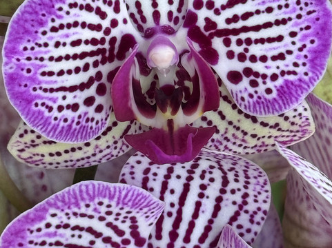 乔治伊士曼博物馆-罗切斯特必去景点