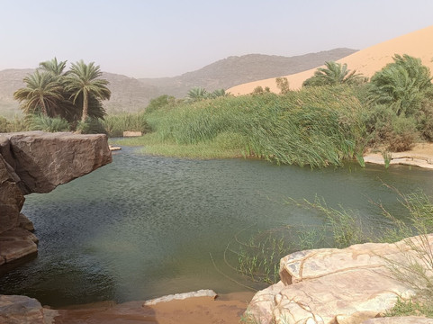 Atar Voyages-Atar必去景点