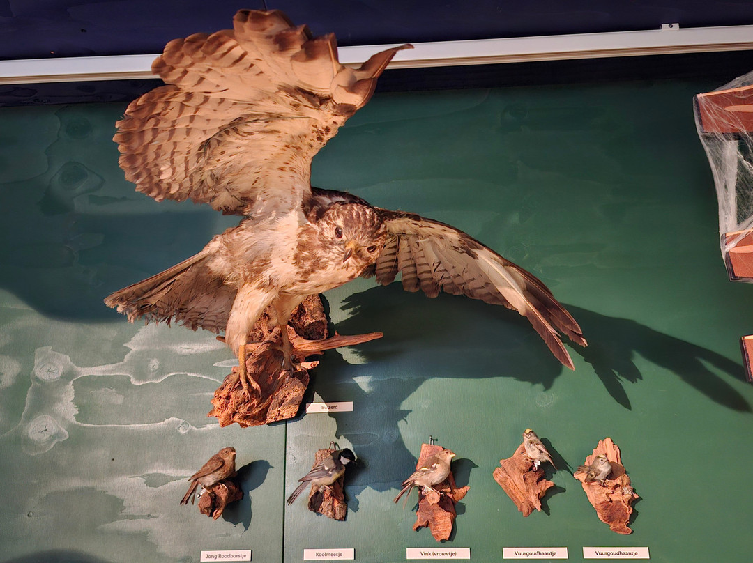 Streekmuseum Peel & Maas-Helden必去景点