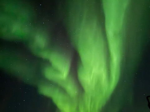 Discover Churchill Tours-丘吉尔必去景点