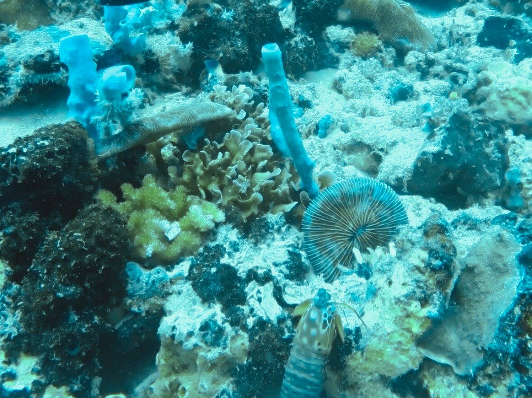 Dpm Diving Gili Air-Gili Air必去景点