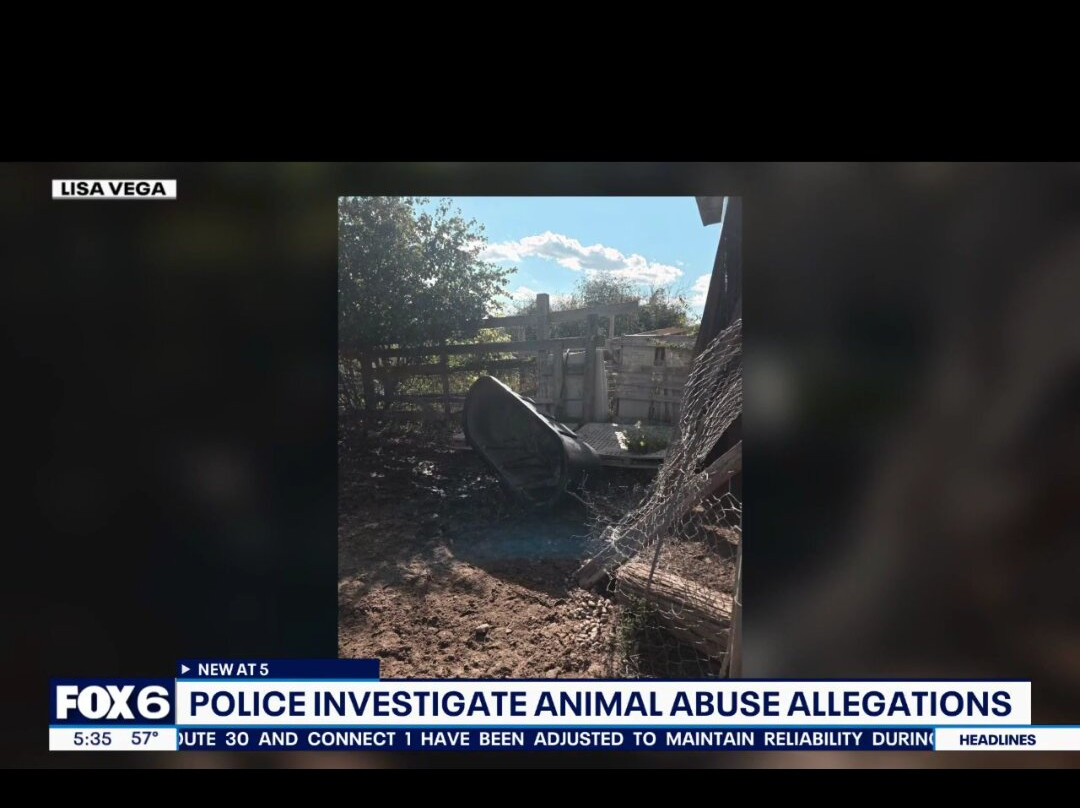 Friesian Herd Experiences-Mukwonago必去景点