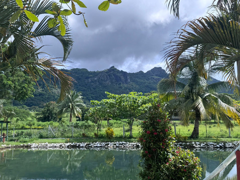 萨贝托泥浆温泉-纳迪市必去景点