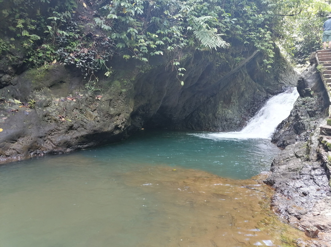 Discover Fiji Tours-Navua必去景点