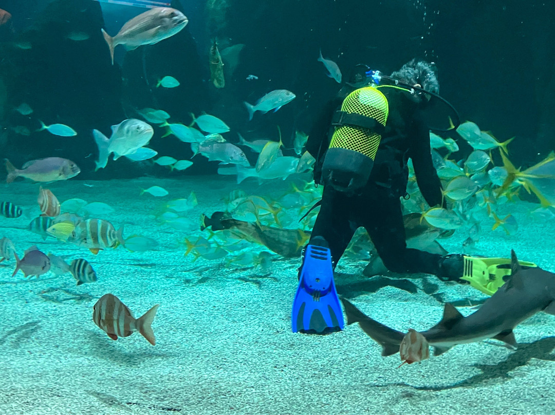Lanzarote Aquarium-科斯塔特吉塞必去景点