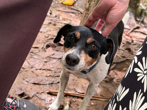 Fazenda Yrere-Ilheus必去景点