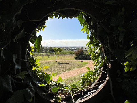 Longridge Wine Estate-西索美塞必去景点