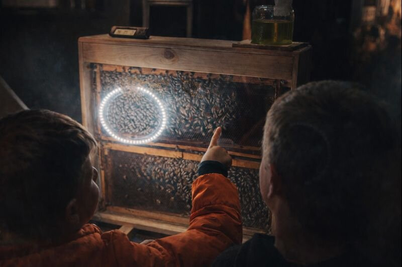 Bee Museum-诺帕克特斯必去景点