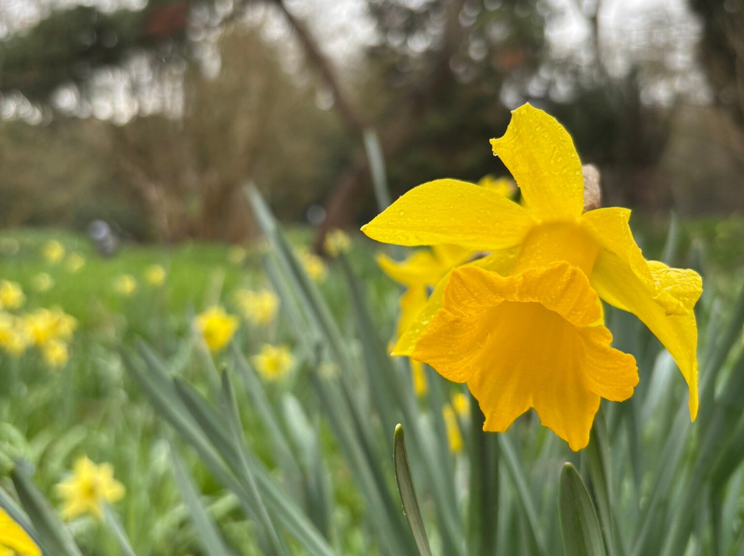 Myddelton House Gardens-恩菲尔德必去景点