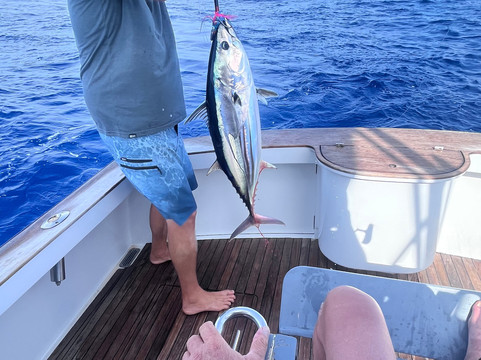 Nemesis Sport Fishing-埃里埃利必去景点