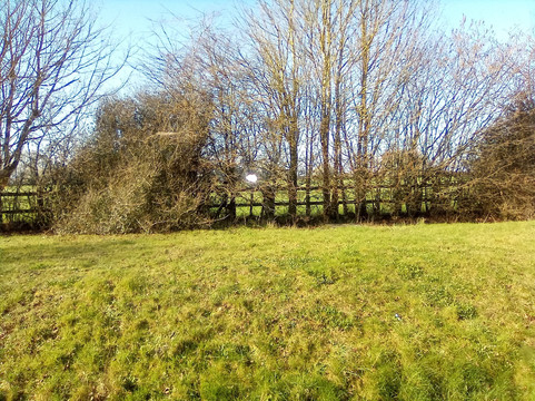 伊利 - 旅客之家酒店主图