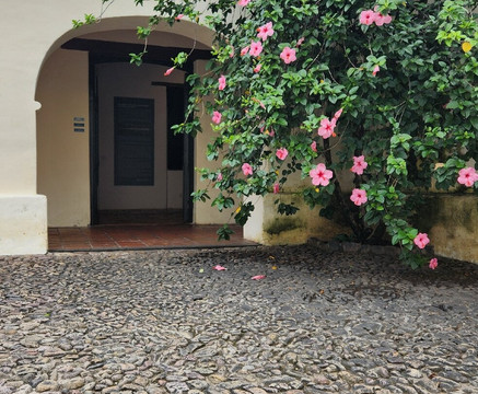 History Museum of the North-萨尔塔必去景点