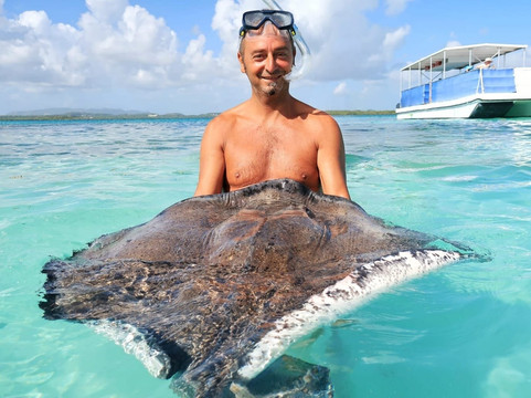 Stingray City-安提瓜必去景点