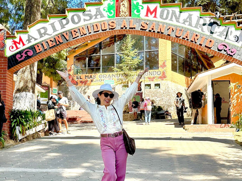 El Rosario Monarch Butterfly Preserve-中部墨西哥和墨西哥湾沿岸必去景点