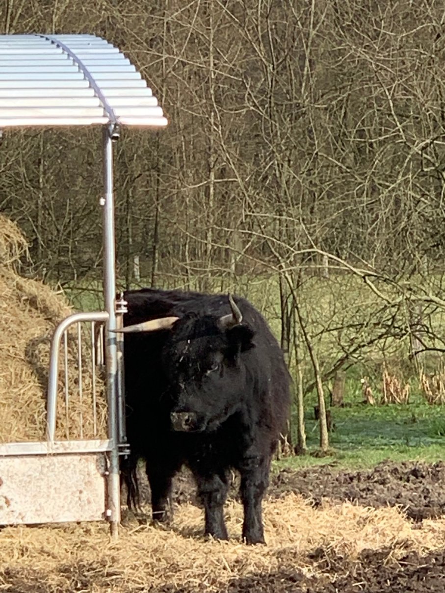 兰德古德维尔莫斯伯格酒店-官方