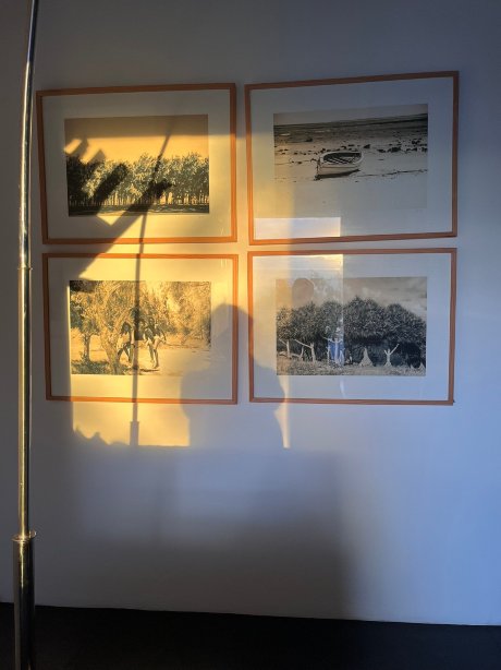 巴克瓦小屋酒店-官方