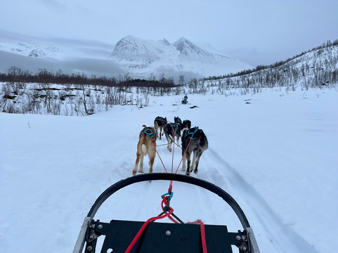 Kvaløya Husky-特罗姆瑟必去景点