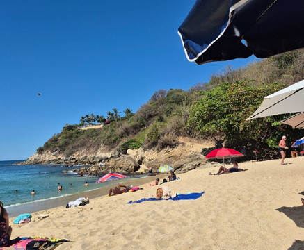 Playa Carrizalillo-埃斯孔迪多港必去景点