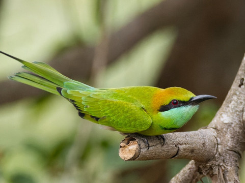 Prabath Safari-乌达瓦拉瓦必去景点
