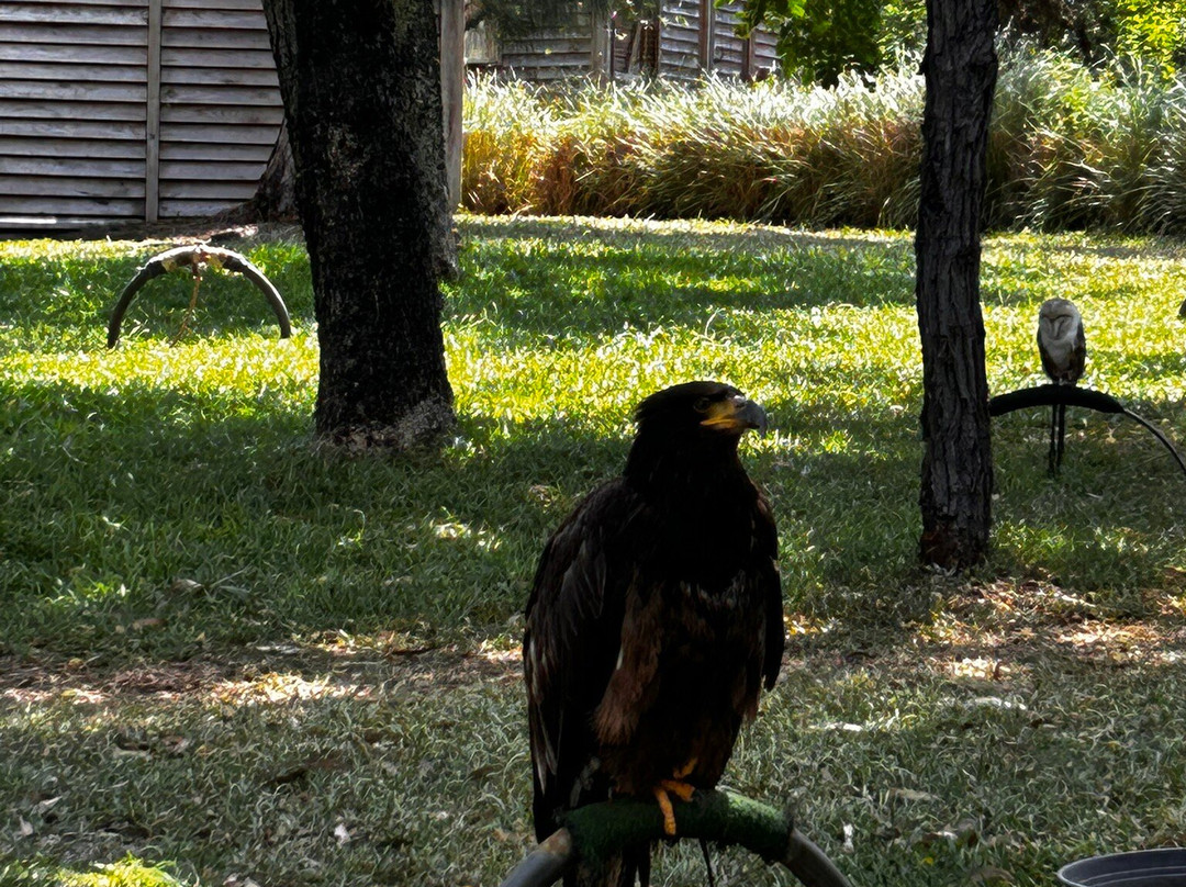 Zoo Parc De La Réunion-Etang Sale Les Bains必去景点