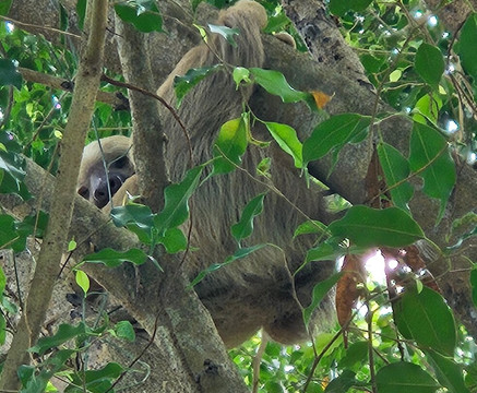 Punta Culebra Nature Center-巴拿马城必去景点