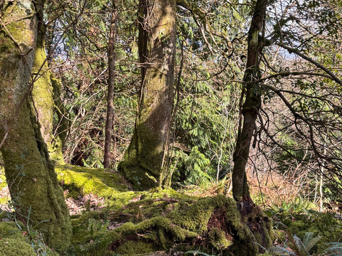 Forage Pembrokeshire-哈弗福韦斯特必去景点