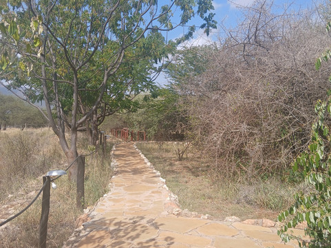 Oldonyo Orok Lodge主图