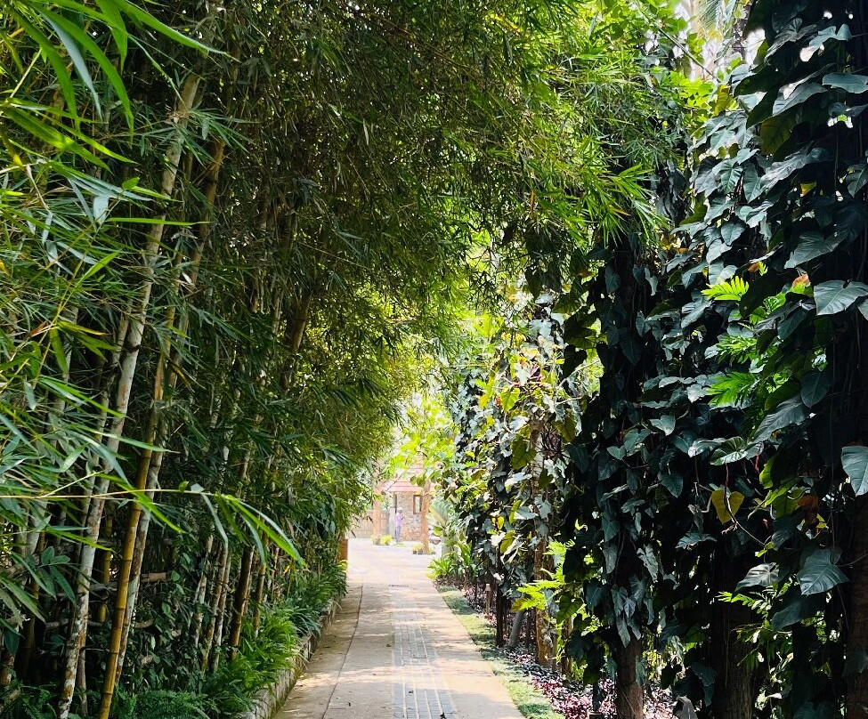 柳枝度假村主图