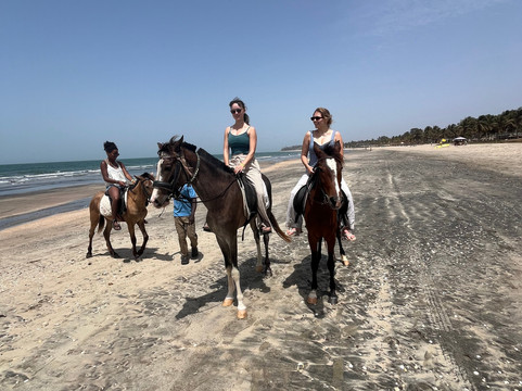 Kotu Horses-Kotu必去景点