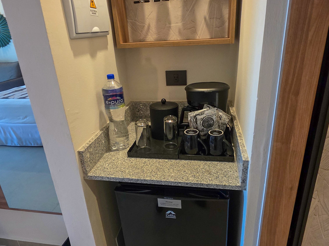 Hotel Riu 哈利斯科 - 全包主图