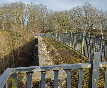 Tanfield Railway-盖茨黑德必去景点