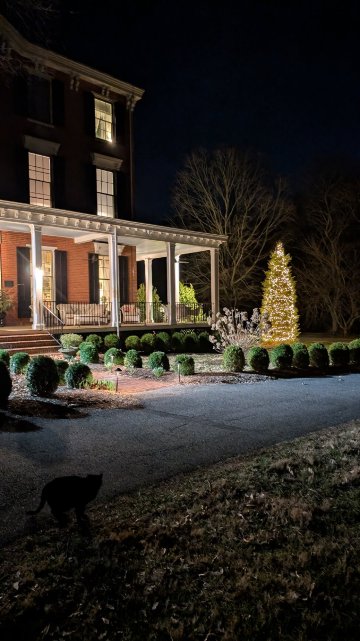 宾顿住宿加早餐酒店-官方