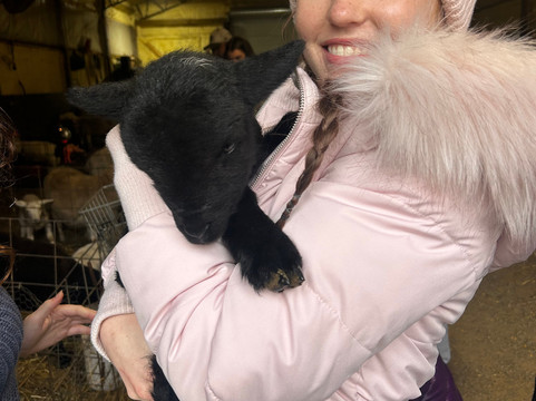 Cress Creeks Farm And Corn Maze-Ellijay必去景点