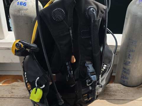 Narwhal-伊利亚贝拉必去景点