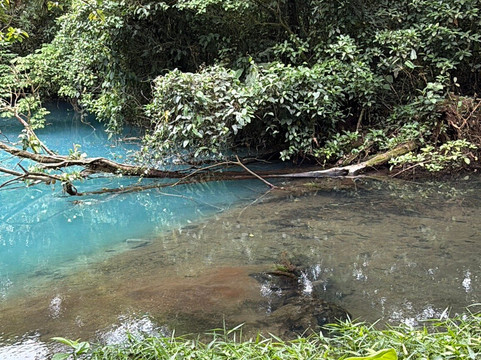 Rio Celeste Blue Adventures-Tenorio Volcano National Park必去景点