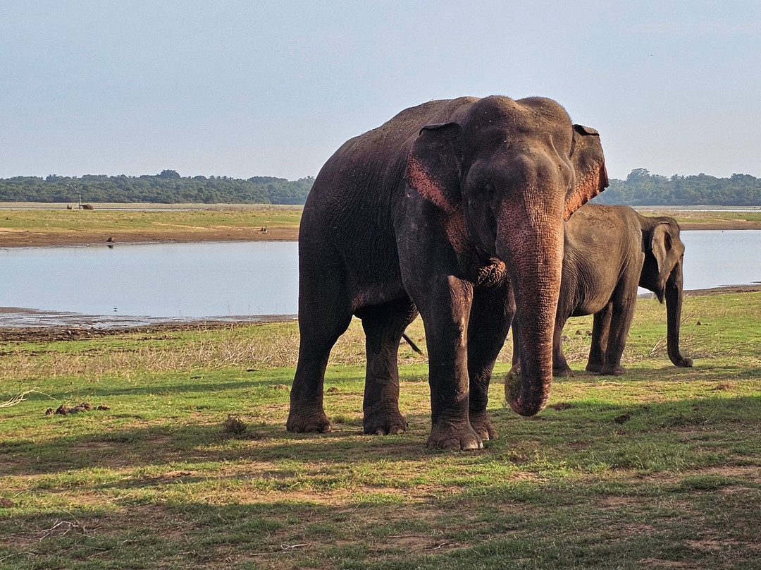 Ceylon Voyageur-Gampaha必去景点