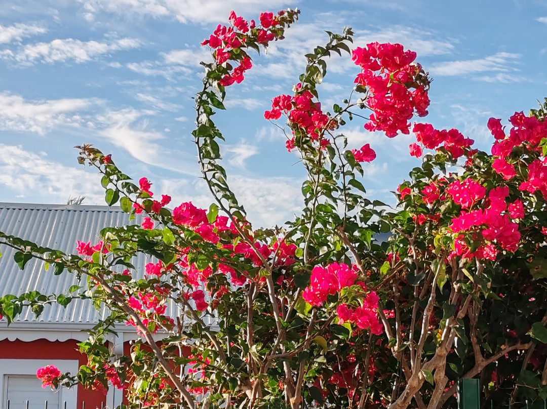 拉克里斯汀酒店主图