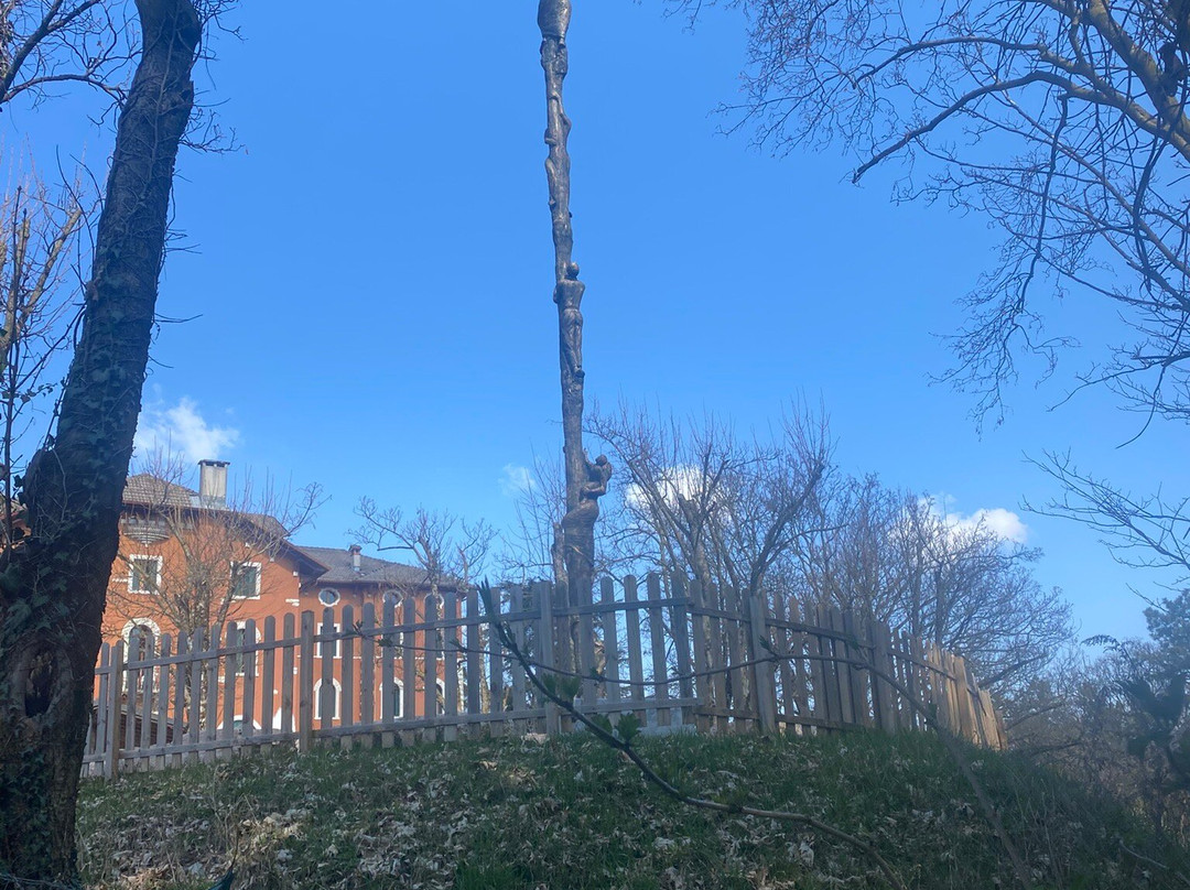 Hotel Stella Alpina主图